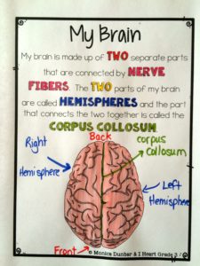 How to Talk to Your Students About Neurodiversity - I Heart Grade 3